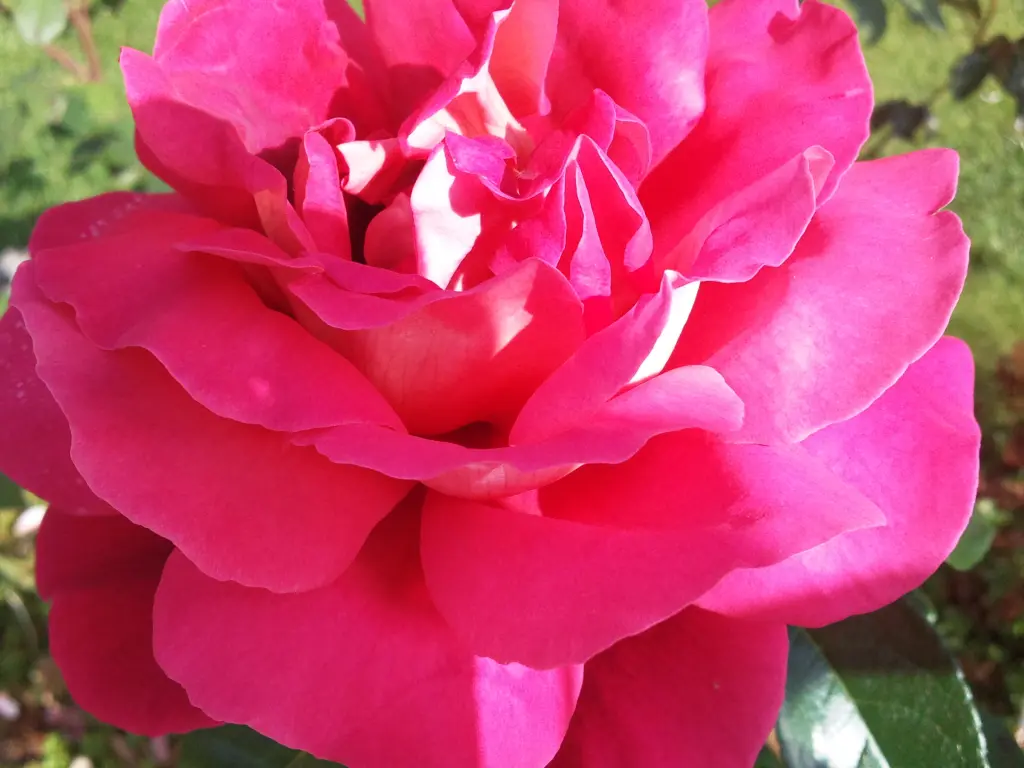 Andachtsbild von Deiner Familie