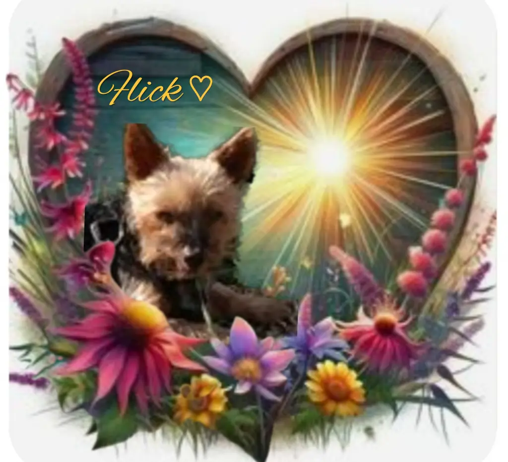 Andachtsbild von Flick♥️ geliebt♥️ und unvergessen♥️ 