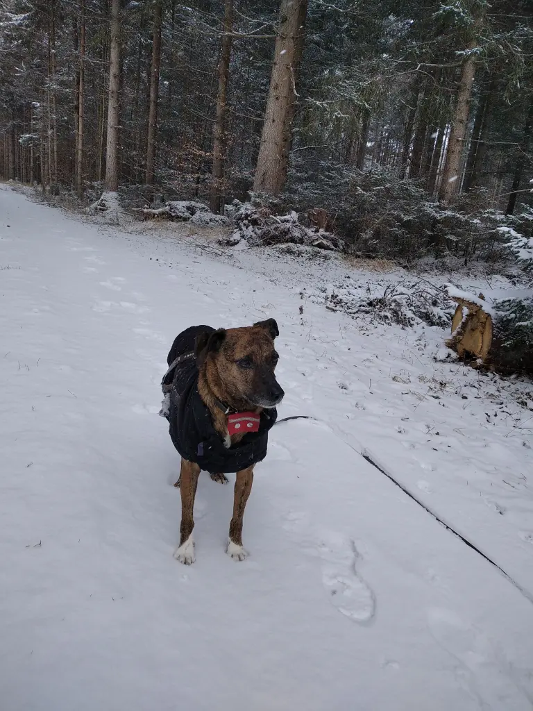 Andachtsbild von Erika Cremer