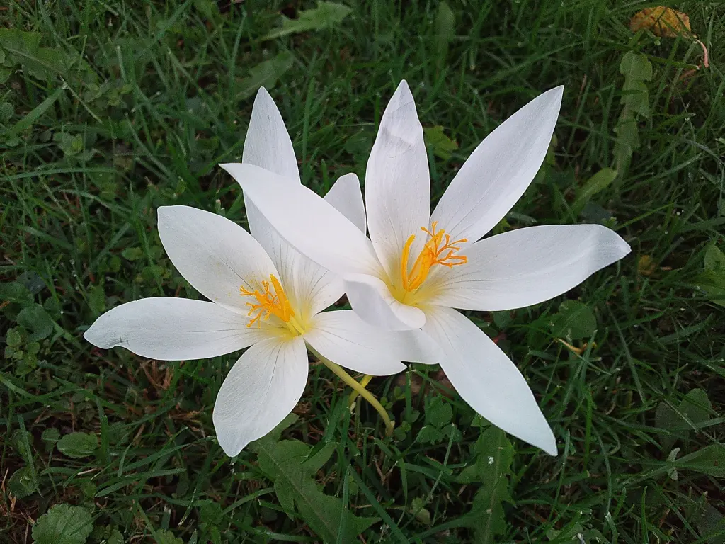 Andachtsbild von Deiner Familie