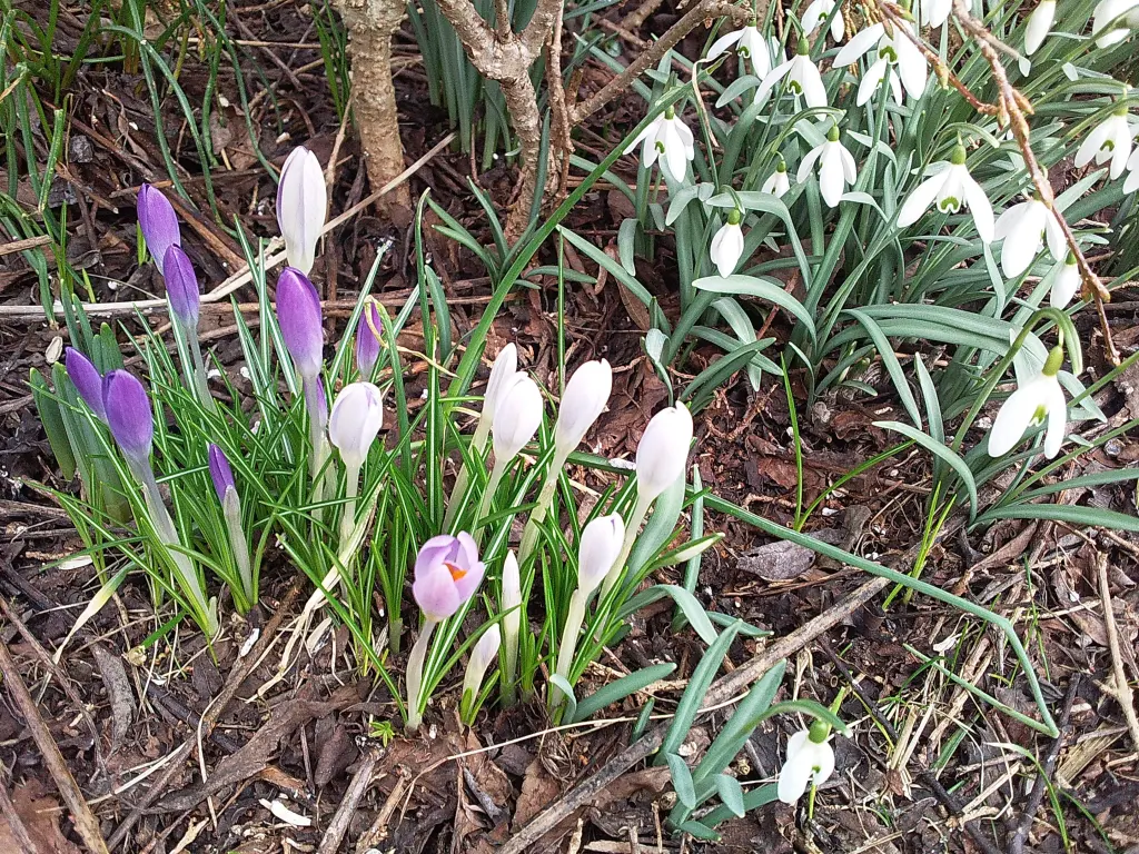 Andachtsbild von Deiner Familie