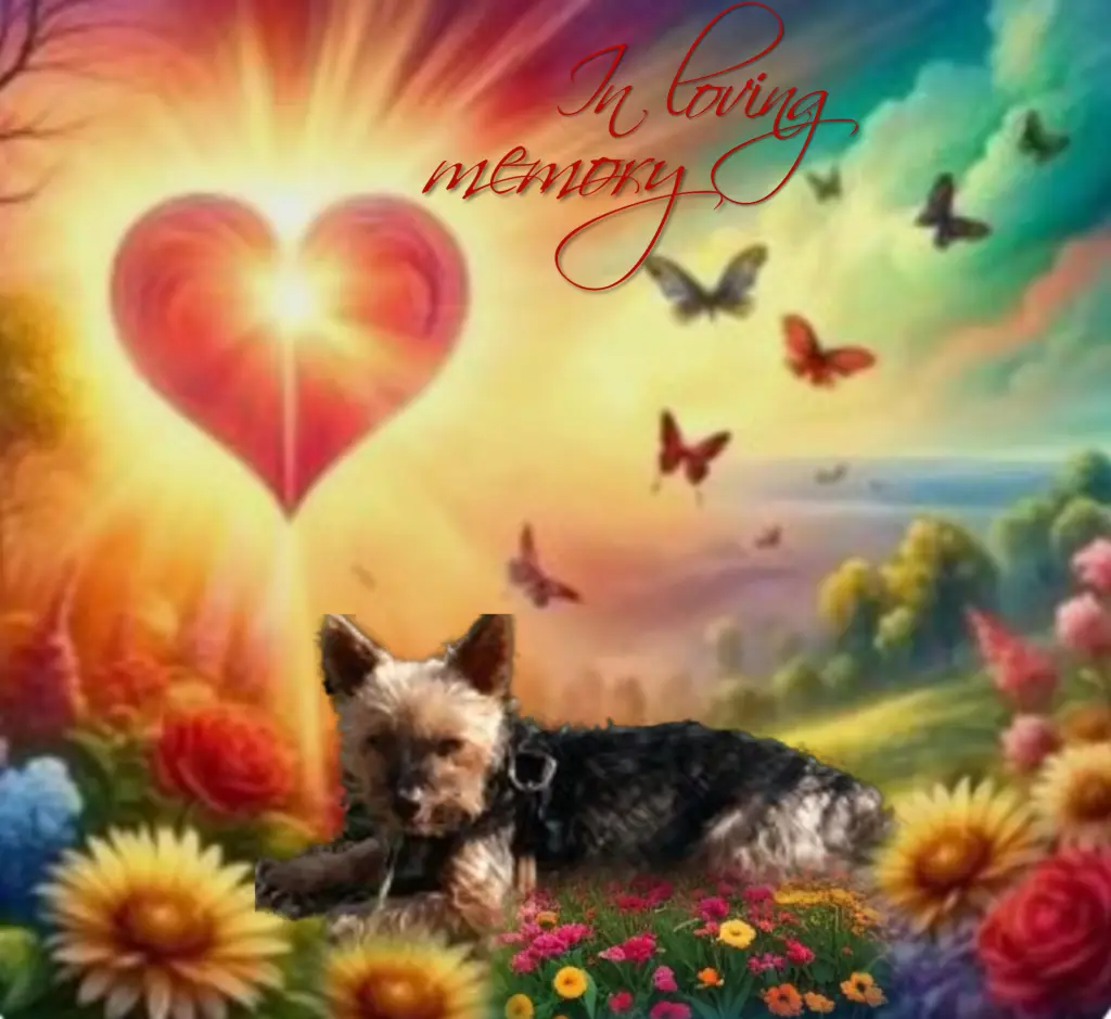 Andachtsbild von Flick♥️ geliebt♥️ und unvergessen♥️