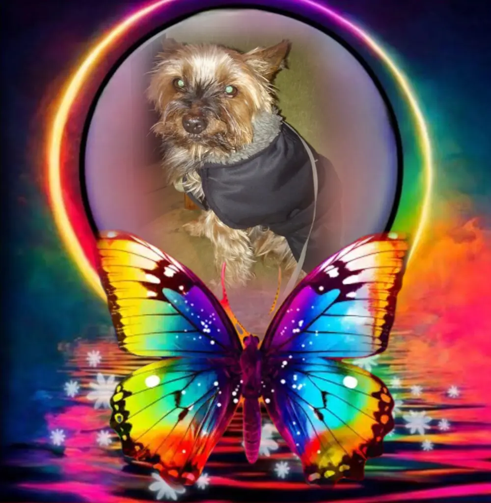 Andachtsbild von Flick♥️ geliebt♥️ und unvergessen♥️ 