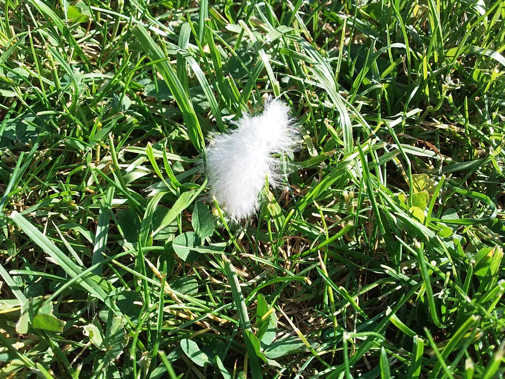 Andachtsbild von Deiner Familie