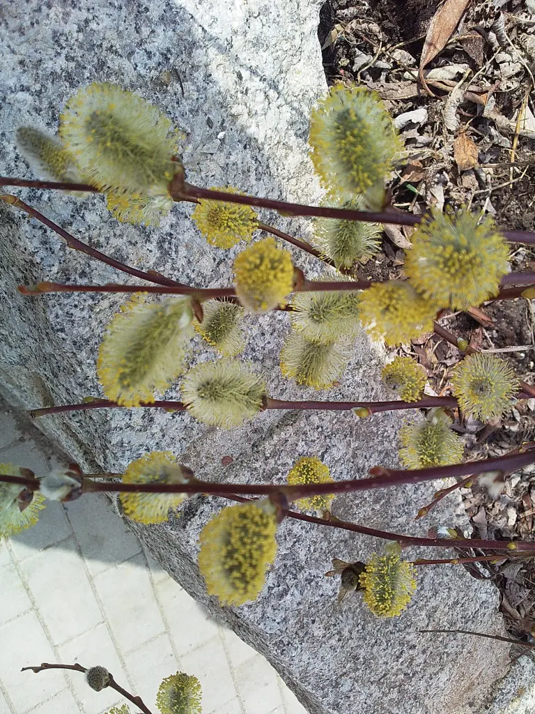 Andachtsbild von Deiner Familie