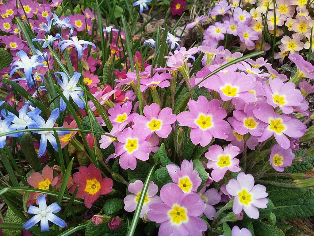 Andachtsbild von Deiner Familie