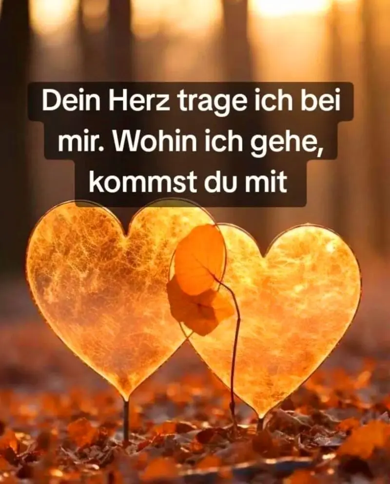 Andachtsbild von ❤️ Flick ❤️ für immer im Herzen ❤️