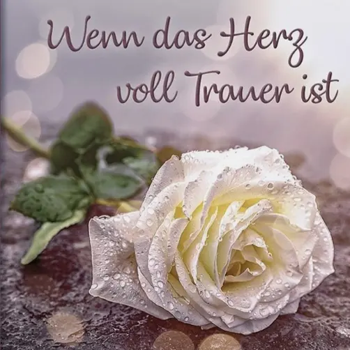 Andachtsbild von Ewa & Krzysztof mit Jacki tief im Herzen♥️ 