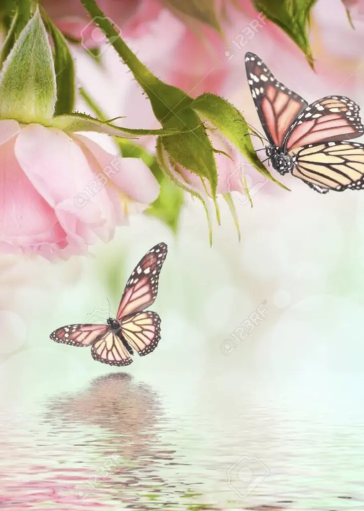 Andachtsbild von Unbekannt