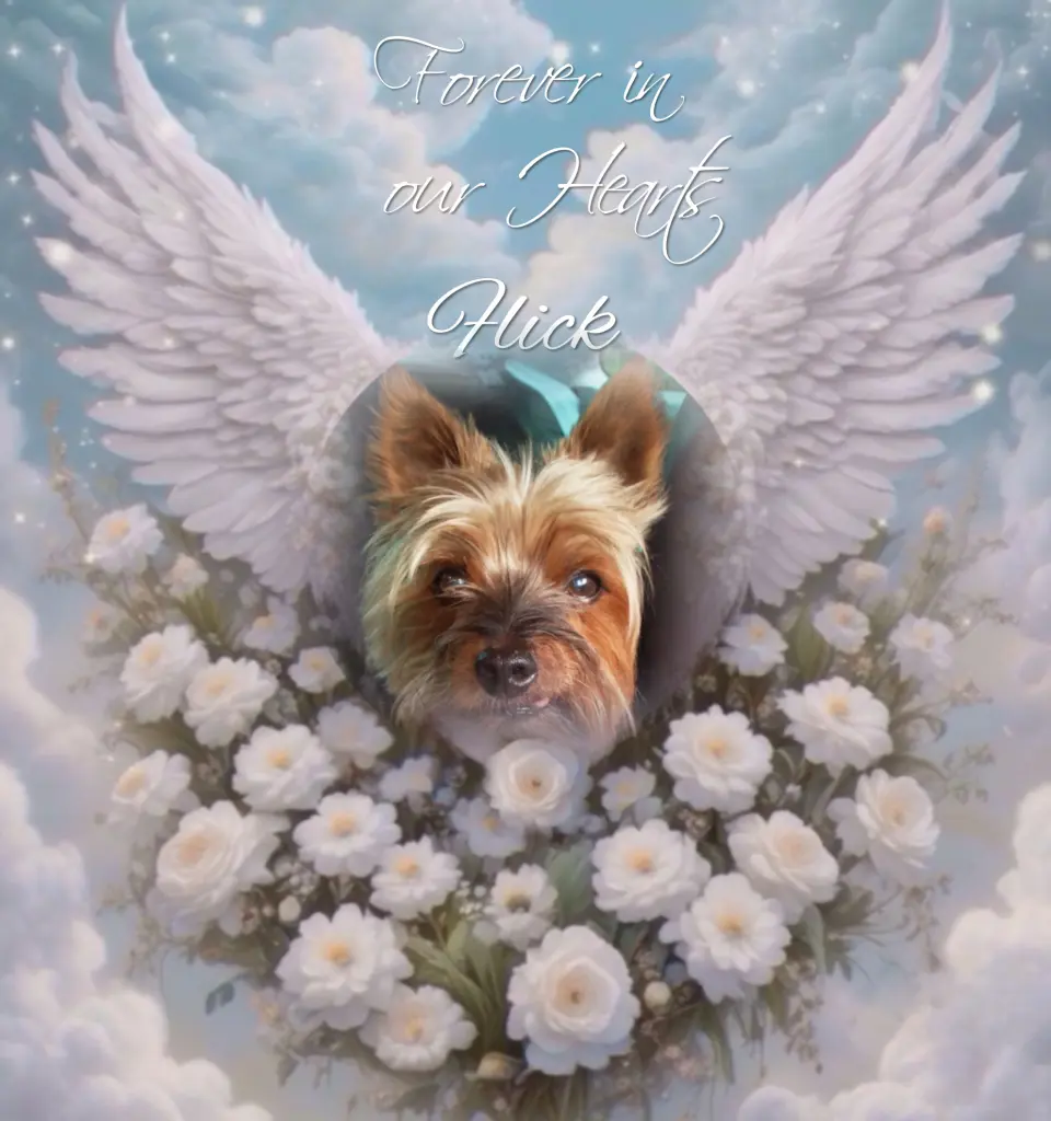 Andachtsbild von Flick♥️ geliebt♥️ und unvergessen♥️