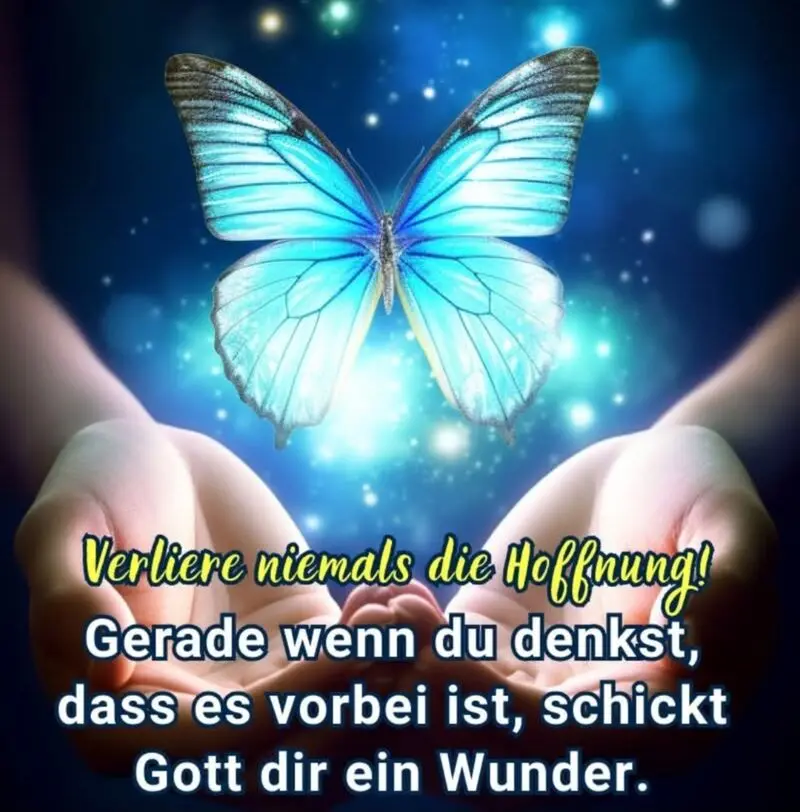 Andachtsbild von ♥️Flick und Offi♥️ für immer im Herzen ♥️