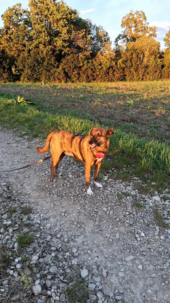 Andachtsbild von Erika Cremer