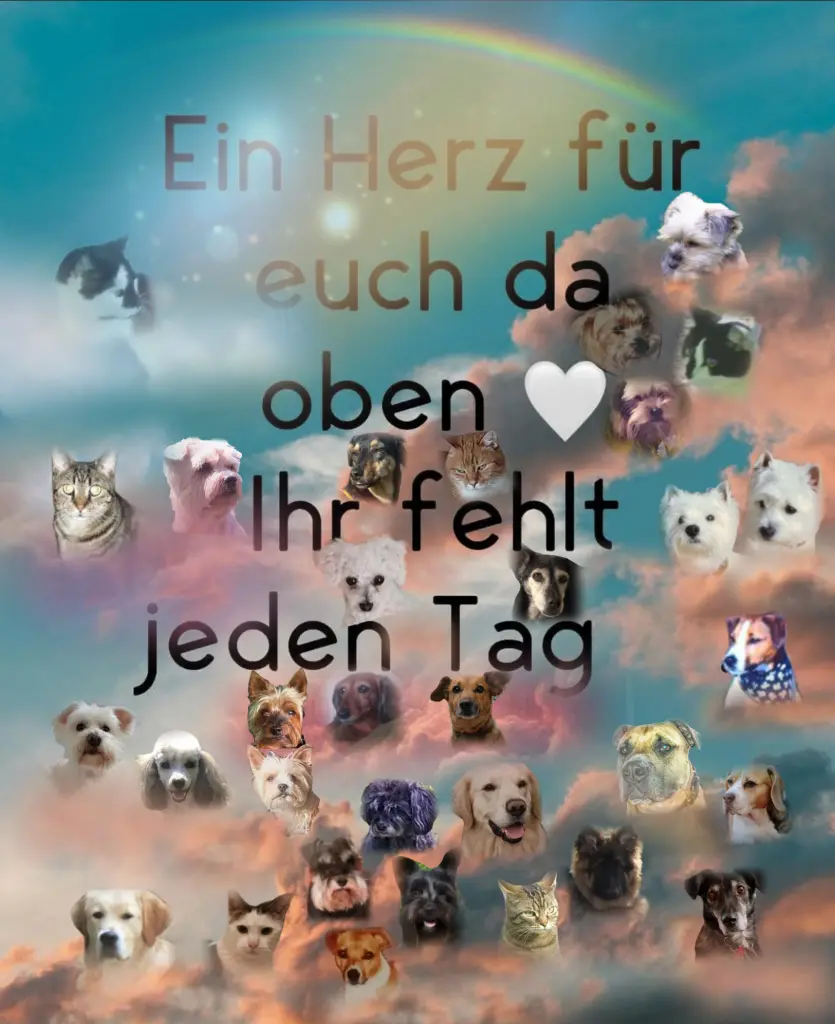 Andachtsbild von ♥️♥️