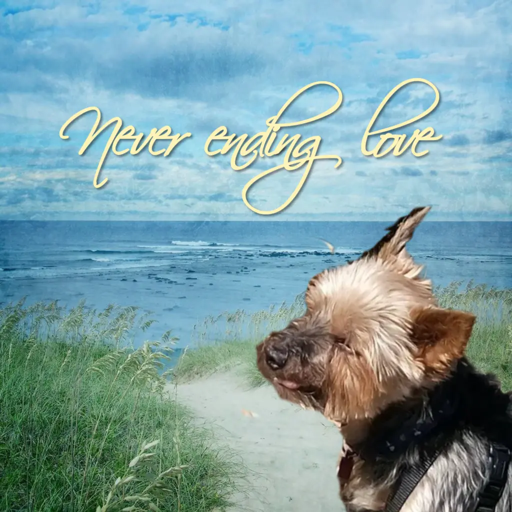 Andachtsbild von Gaby mit ♡☙Snowy☙♡