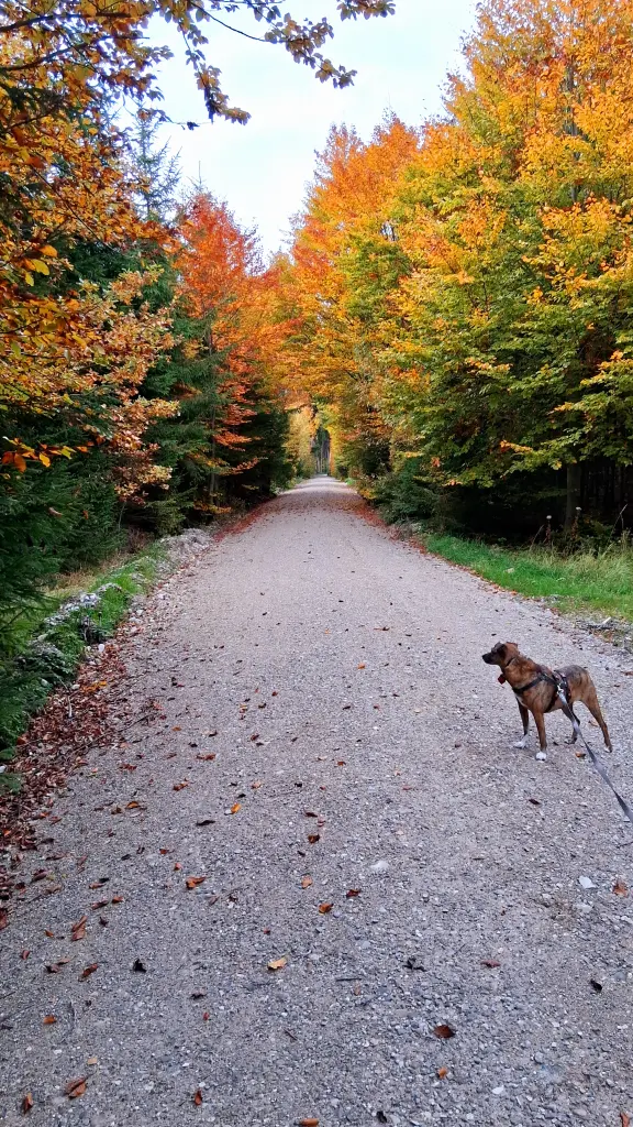 Andachtsbild von Erika Cremer