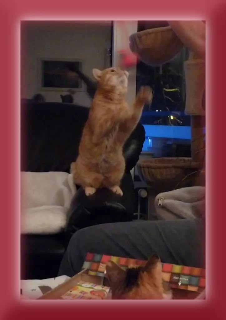Image from Priscilla genannt "Prissy"