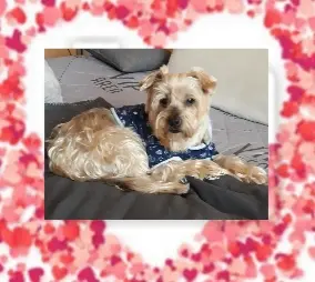 Andachtsbild von Krzysztof und Ewa mit Jacki tief im Herzen ❤