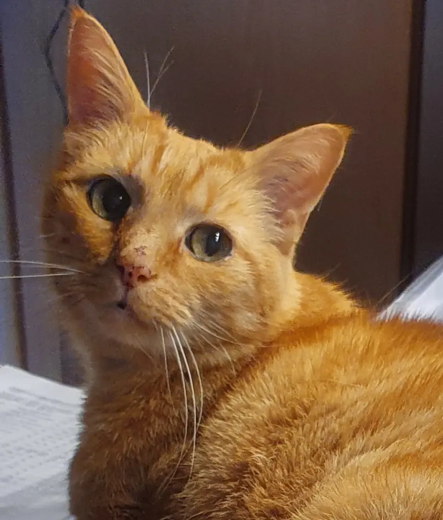 Andachtsbild von Gaby 