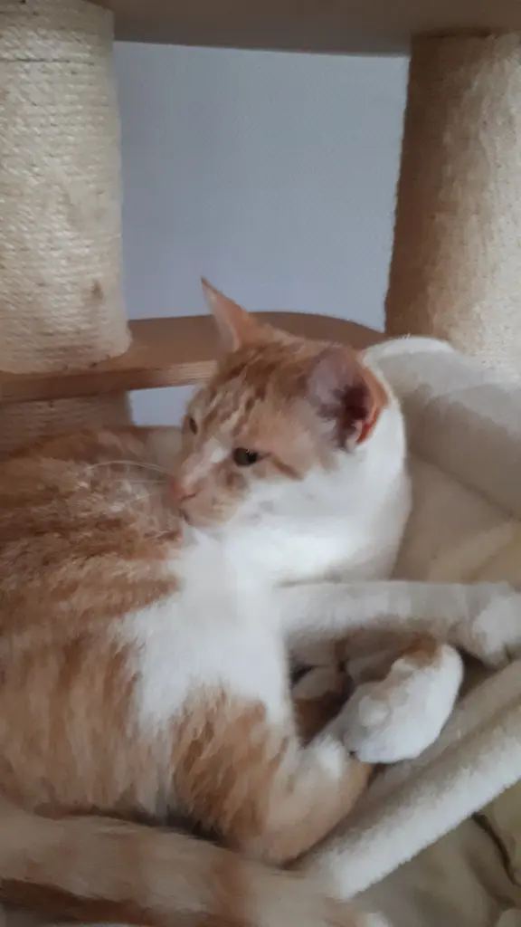 Andachtsbild von Birgit