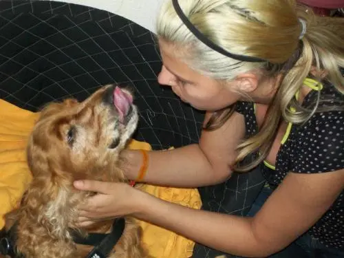 Image from ???Bobby???