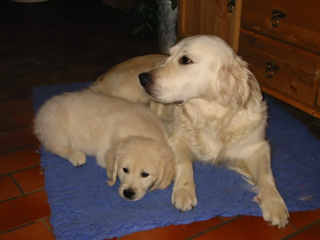 Image from Patch