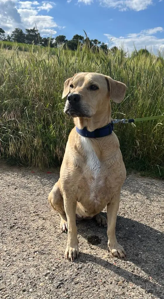 Andachtsbild von Michaela 