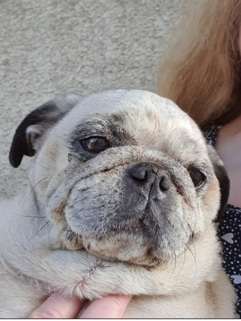 Bild von Wilma
