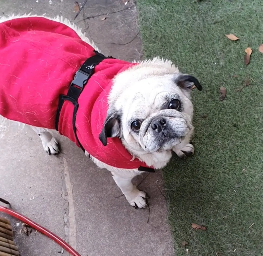 Bild von Wilma