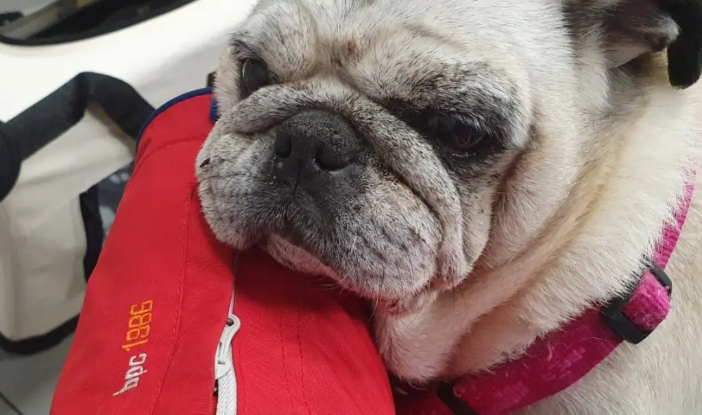 Bild von Wilma
