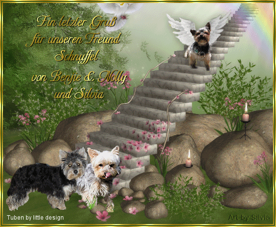 Condolence image of Silvia