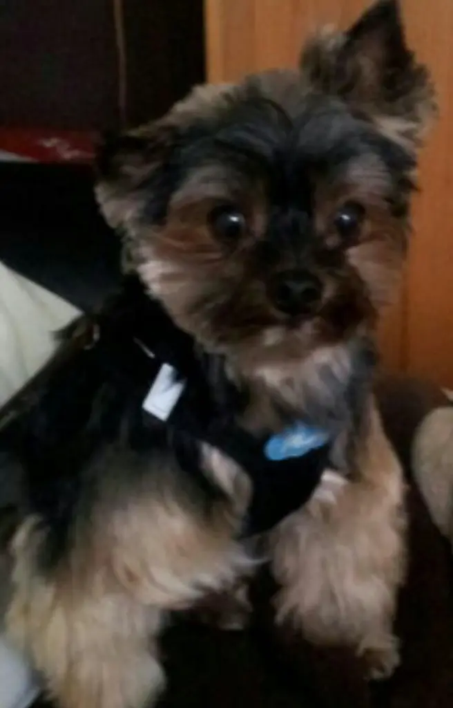Condolence image of Gisela