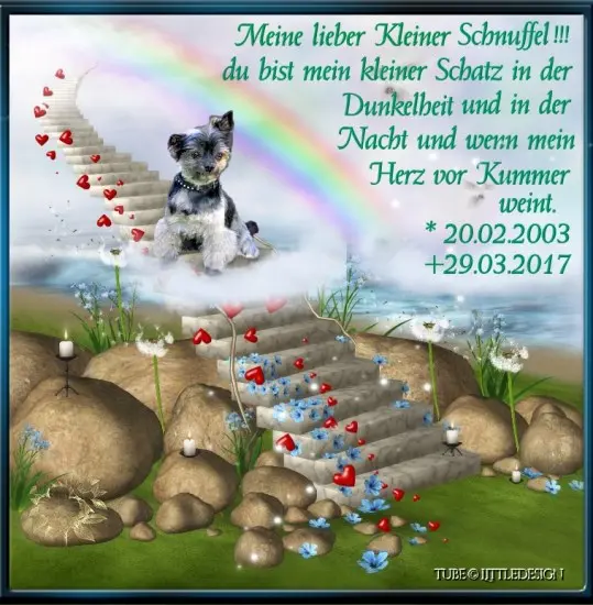 Image from Schnuffel