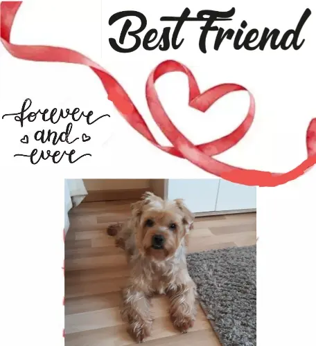 Andachtsbild von Krzysztof und Ewa mit Jacki tief im Herzen ❤