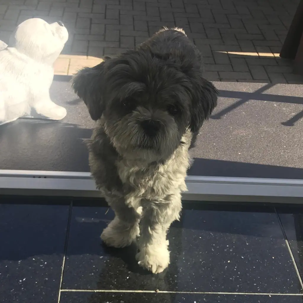 Condolence image of Tanja