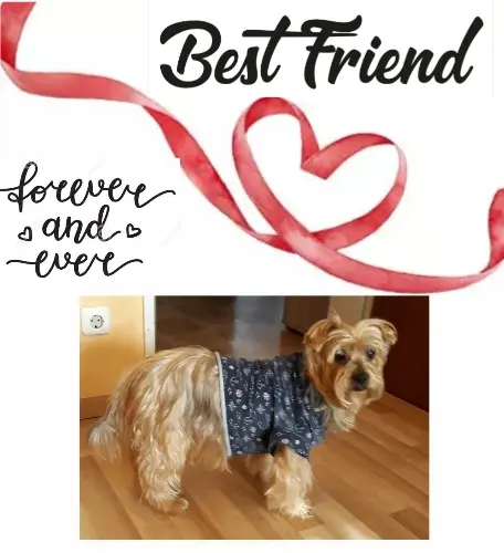 Andachtsbild von Krzysztof und Ewa mit Jacki tief im Herzen ❤