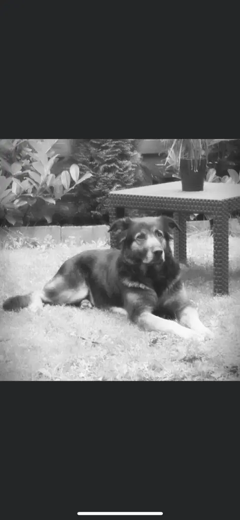 Andachtsbild von Unbekannt