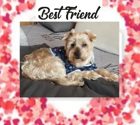 Andachtsbild von Krzysztof und Ewa mit Jacki tief im Herzen ❤