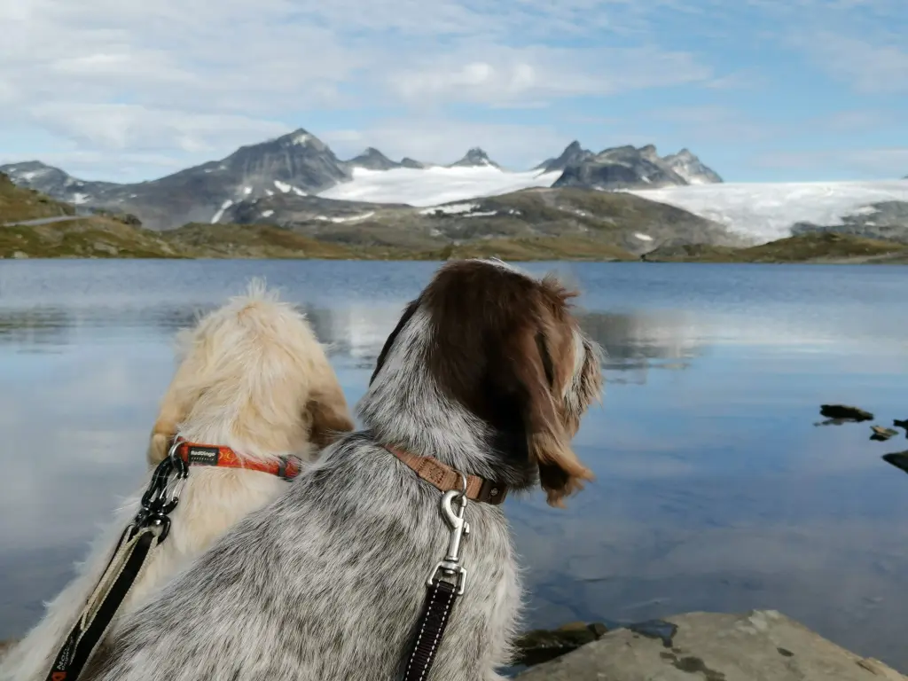 Andachtsbild von Unbekannt