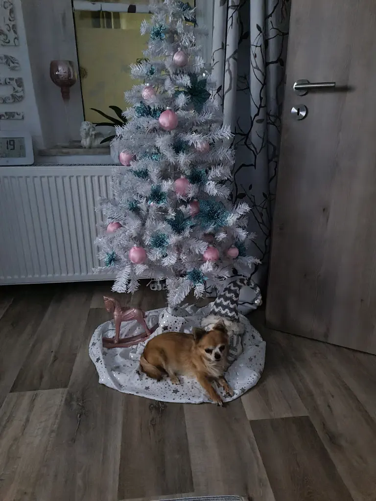 Andachtsbild von Beatrice 