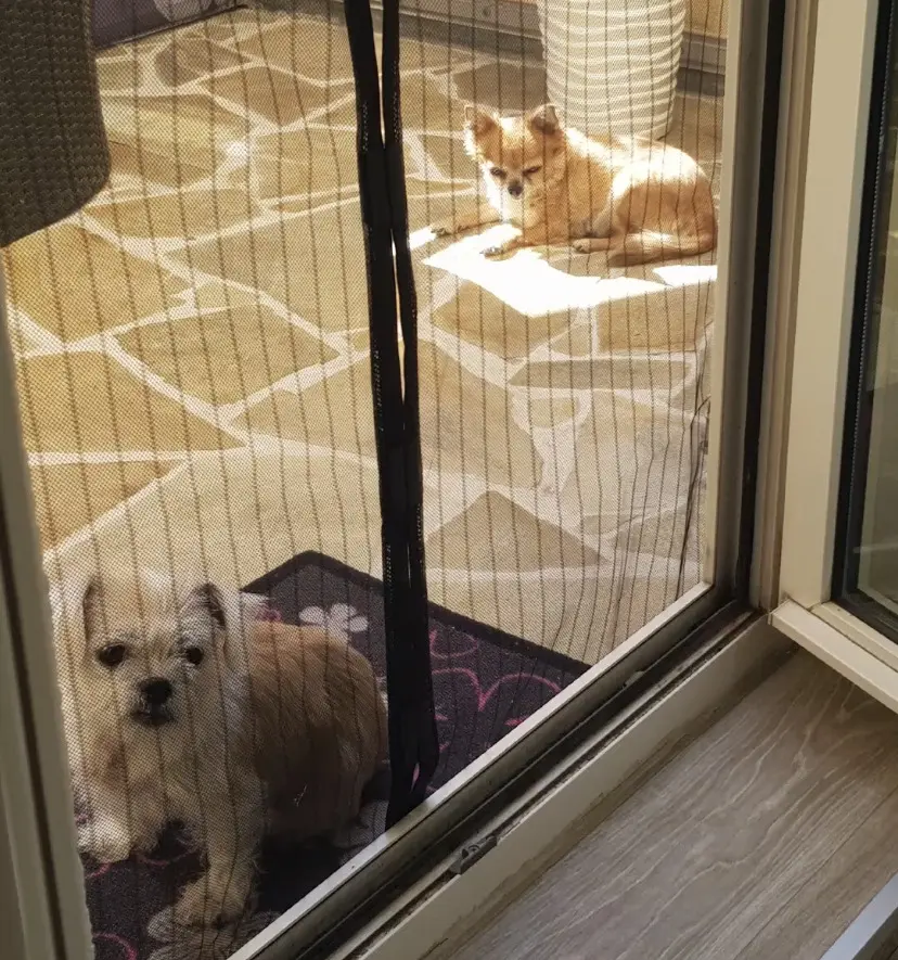 Andachtsbild von Lisa Bark