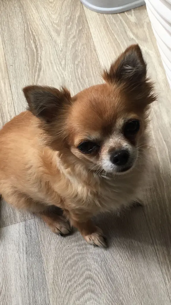 Andachtsbild von Lisa Bark 