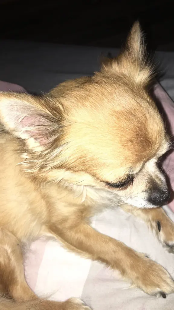 Andachtsbild von Lisa  Bark