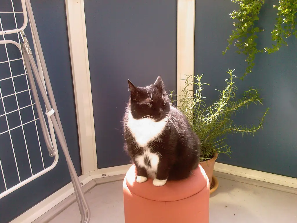 Condolence image of Jeanne - M.