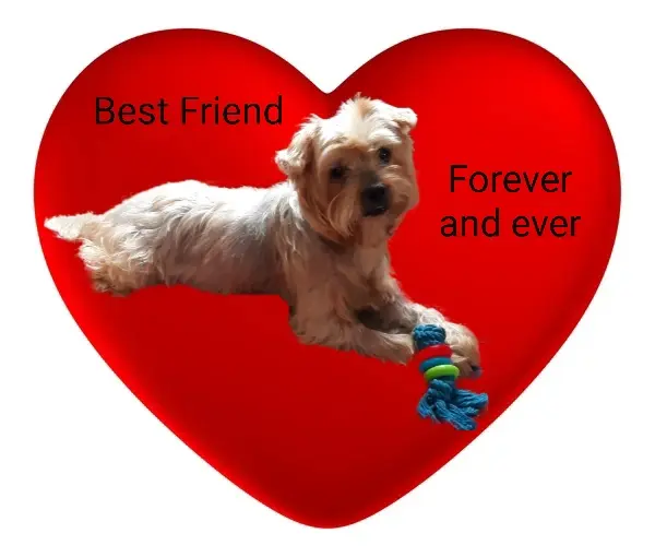 Andachtsbild von Krzysztof und Ewa mit Jacki tief im Herzen ❤