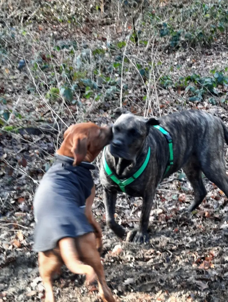 Andachtsbild von Andrea Mohaupt