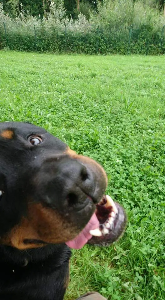 Andachtsbild von Alex