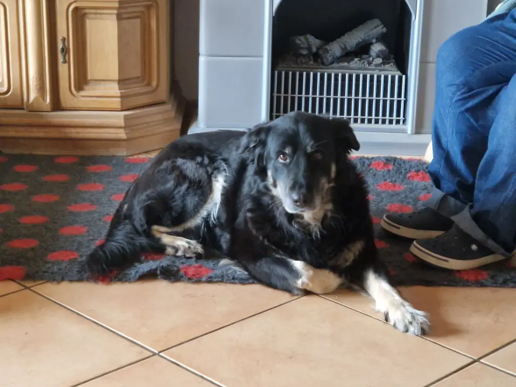 Andachtsbild von Angelika