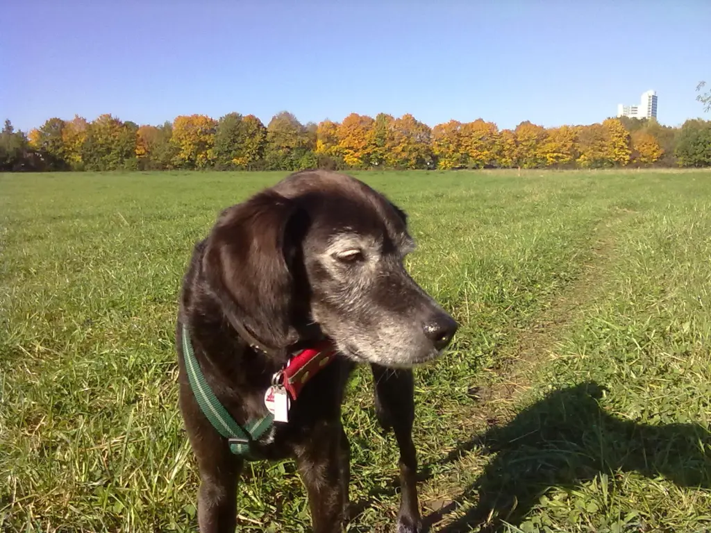 Andachtsbild von Erika