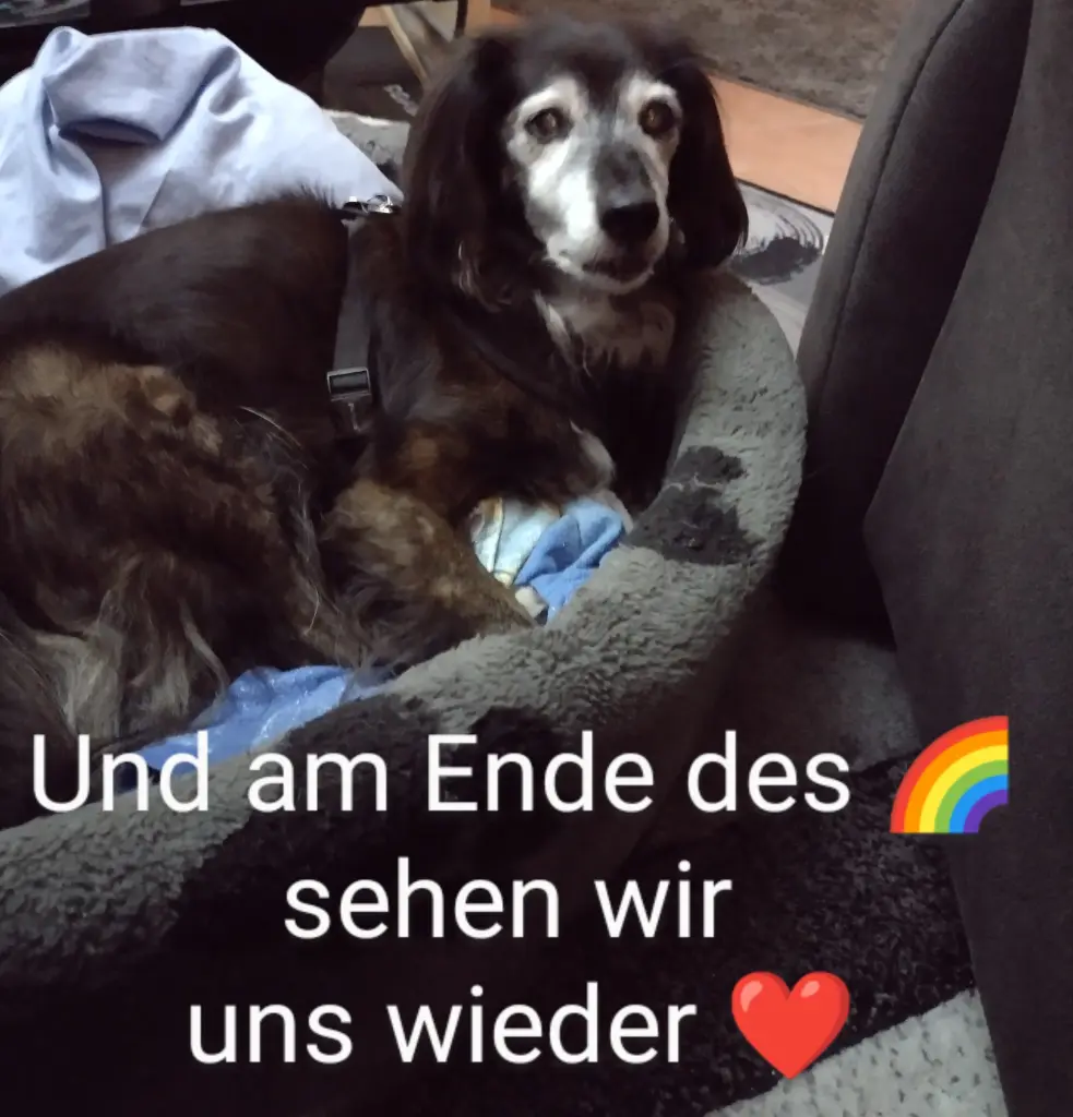 Andachtsbild von Beate mit Ella im ❤️