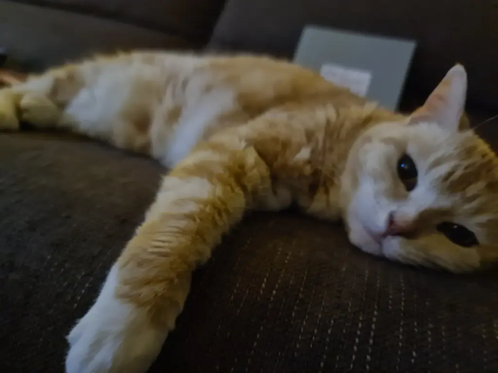 Andachtsbild von Shanice